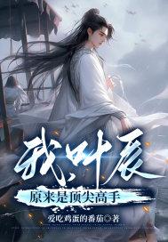 叶辰是那个主人公