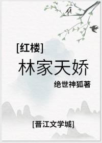 红楼之林家俪辞