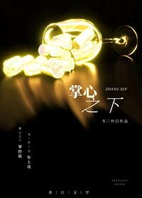掌心之物在线阅读