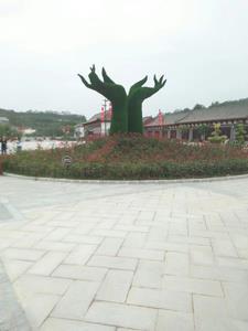 中年还在努力