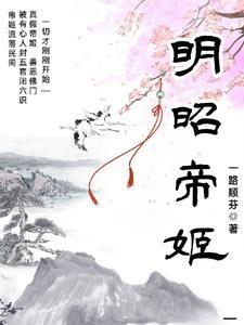 明妃是王昭君吗