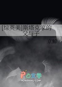 斯塔克父亲