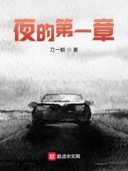 夜的第八章
