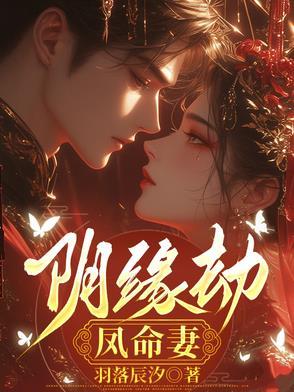 凤命妻讲的是什么