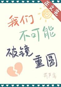 破镜不能重圆英文翻译