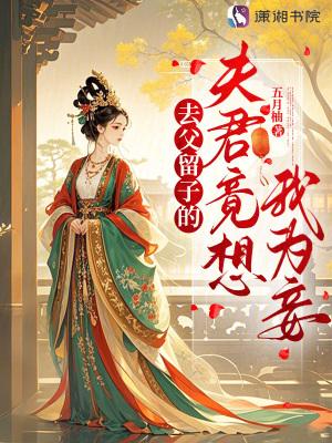 去父留子的夫君竟想我为妾起点
