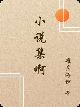 集和有什么区别