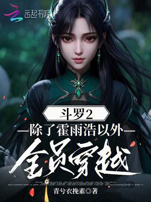 穿越斗罗大陆2的完结