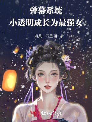 弹幕怎么变透明了
