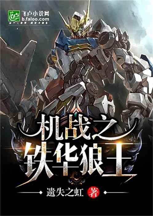 机战之铁华狼王遗失之虹