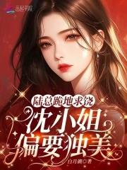 陆总的替身小情人失忆了沈阑