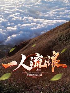 一个人流浪的电影