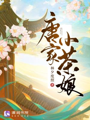 唐家小仙妹内容