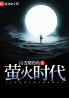 萤火时代的闪电读后感