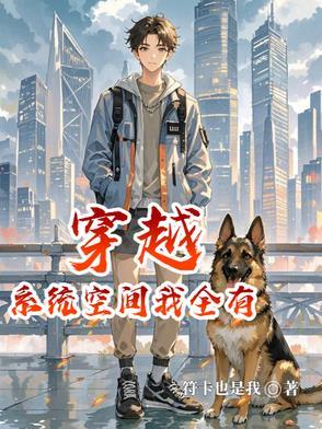 有系统或空间的穿越宠文