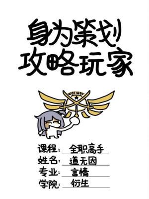 全职高手身为策划攻略玩家txt