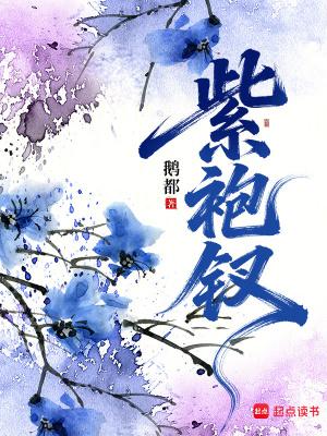 紫袍钗笔趣阁免费阅读无弹窗无广告