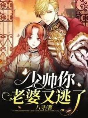 少帅你老婆又逃跑了漫画