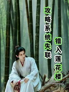 攻略系统的
